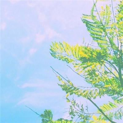 单机的打鱼游戏截图